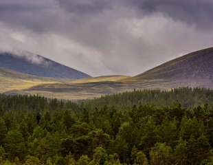 Cairngorms